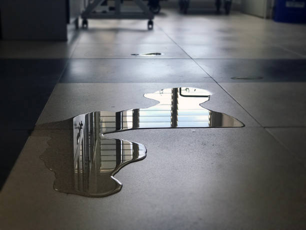 24/7 water damage repair in Oak Ridge, FL